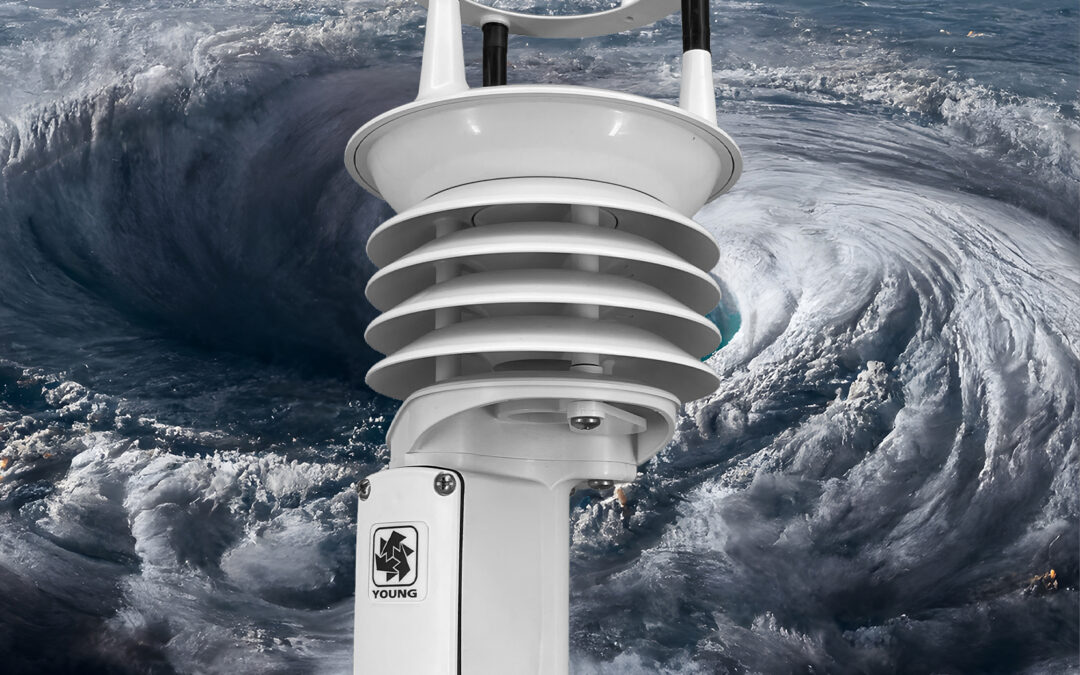 BIG News: Announcing Our NEW All-in-One Weather Station!